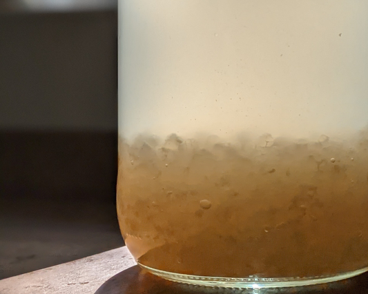 Top 5 Reasons to Drink Kefir Water