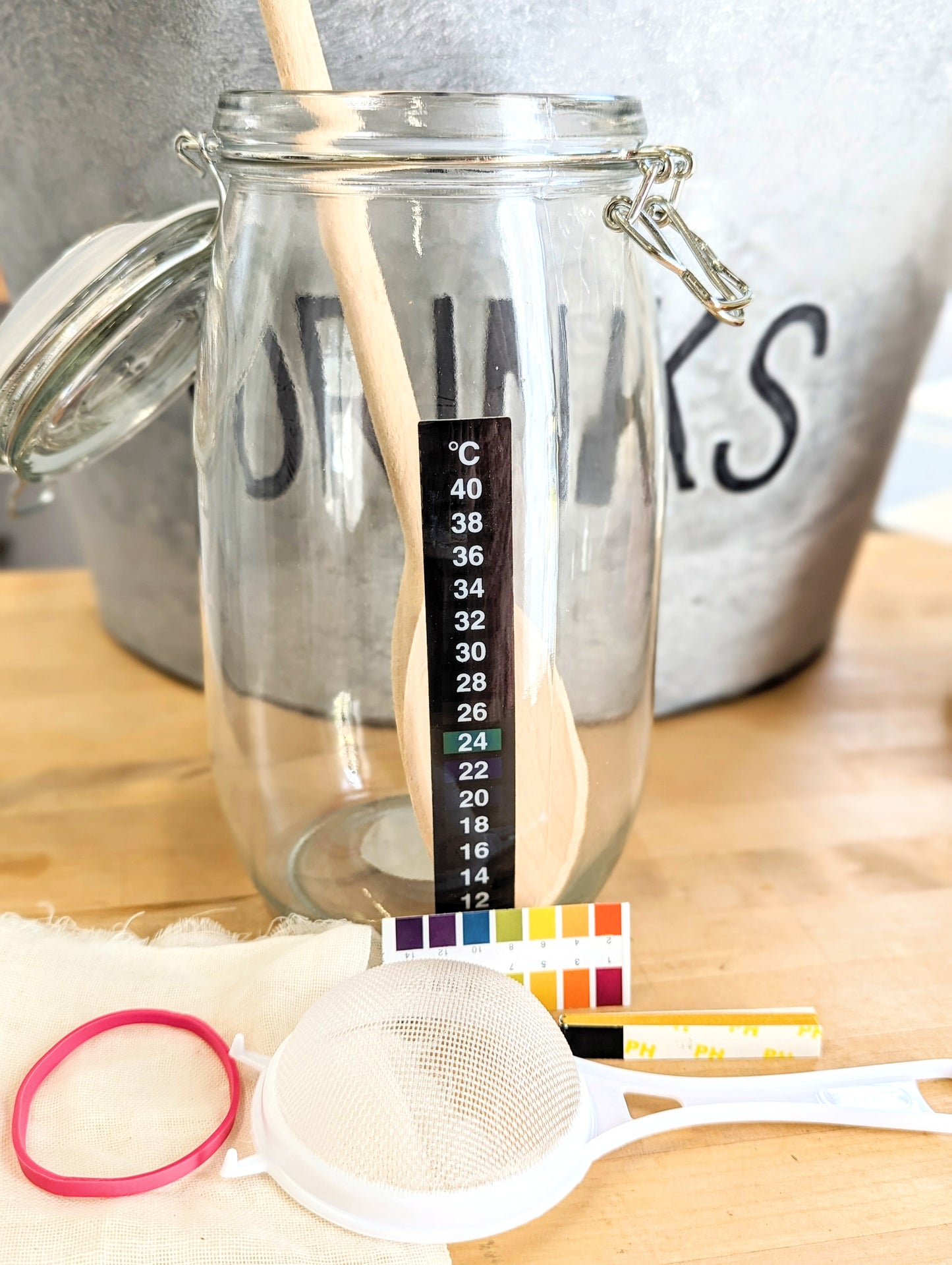 The Complete Water Kefir Fermentation Kit