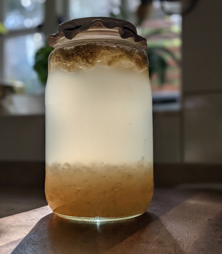 Learn how to ferment water kefir, sauerkraut and basil tomatoes!