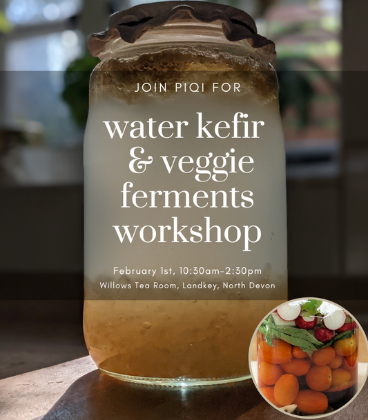 Learn how to ferment water kefir, sauerkraut and basil tomatoes!