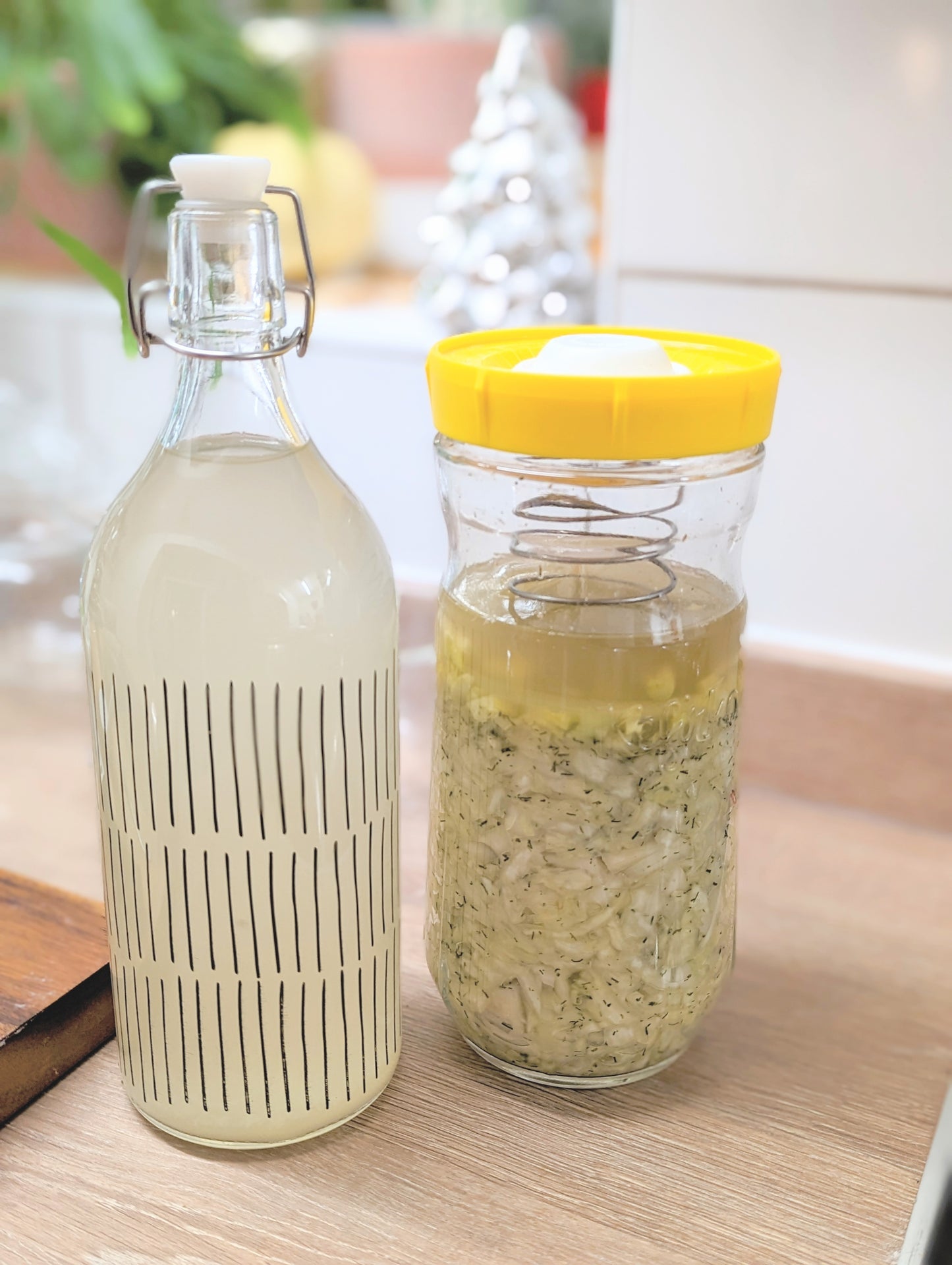 Learn how to ferment water kefir, sauerkraut and basil tomatoes!